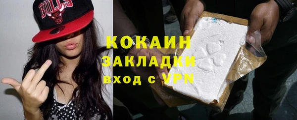 тгк Гусев
