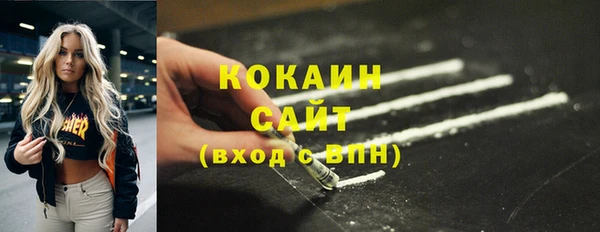 тгк Гусев