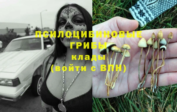 гашиш Гусь-Хрустальный