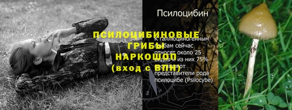 бошки Горно-Алтайск