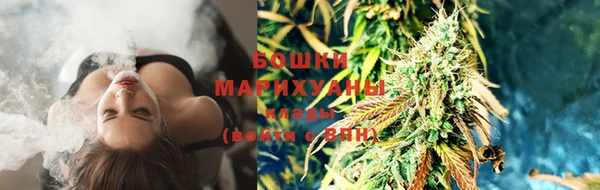 тгк Гусев